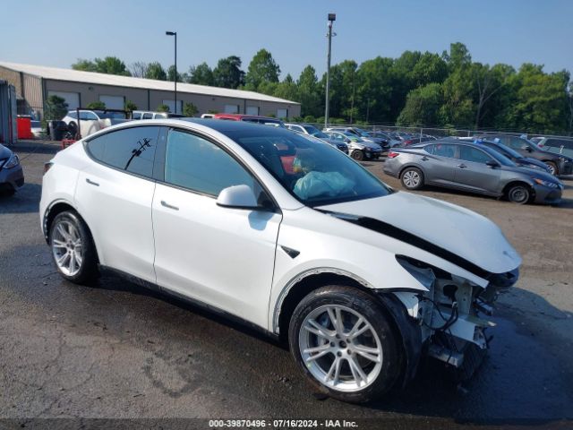 TESLA MODEL Y 2022 7saygaee2nf377448