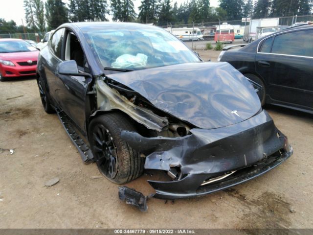 TESLA MODEL Y 2022 7saygaee2nf400937