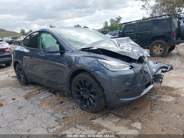 TESLA MODEL Y 2022 7saygaee2nf432061