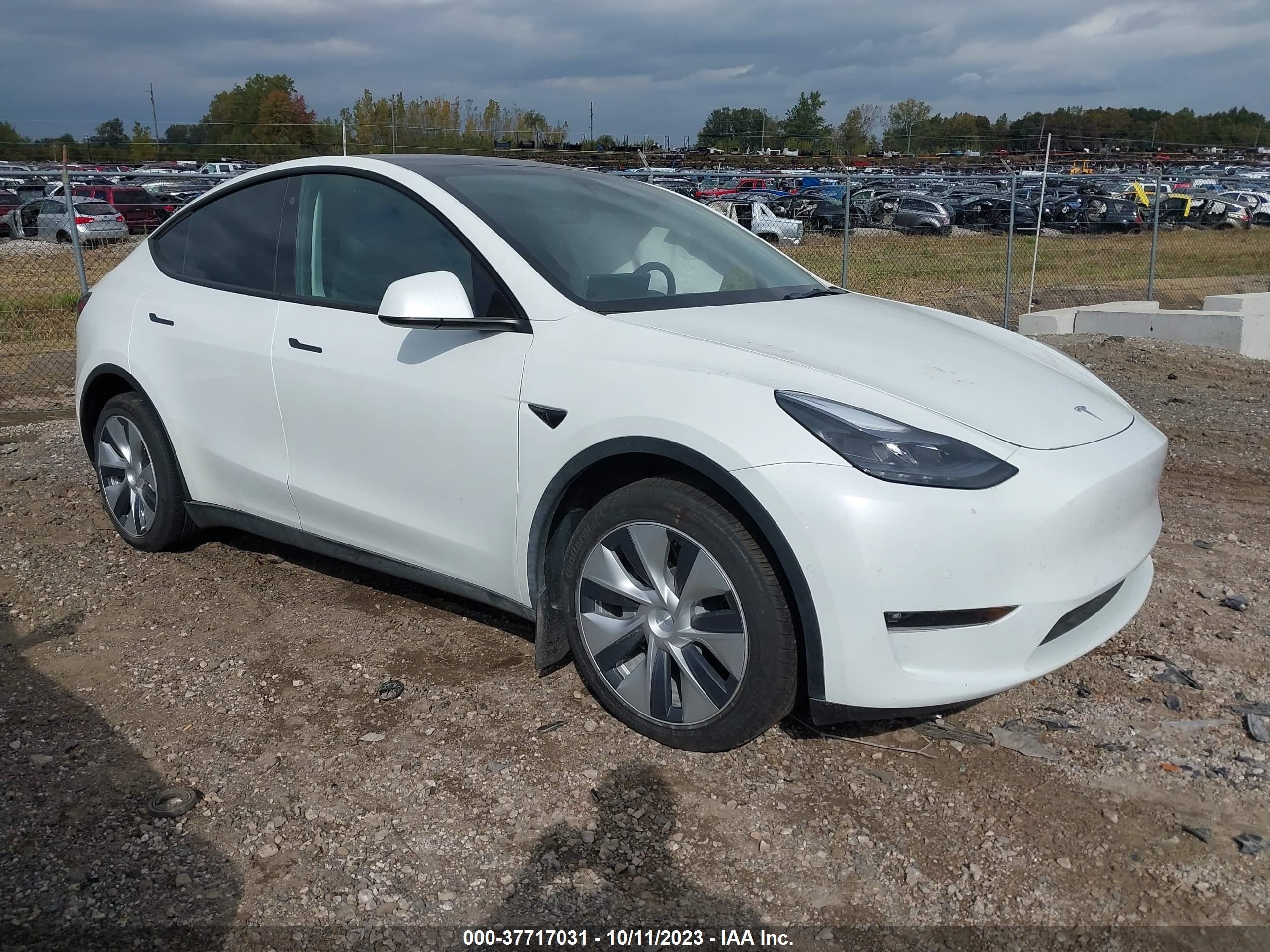 TESLA MODEL Y 2022 7saygaee2nf522570