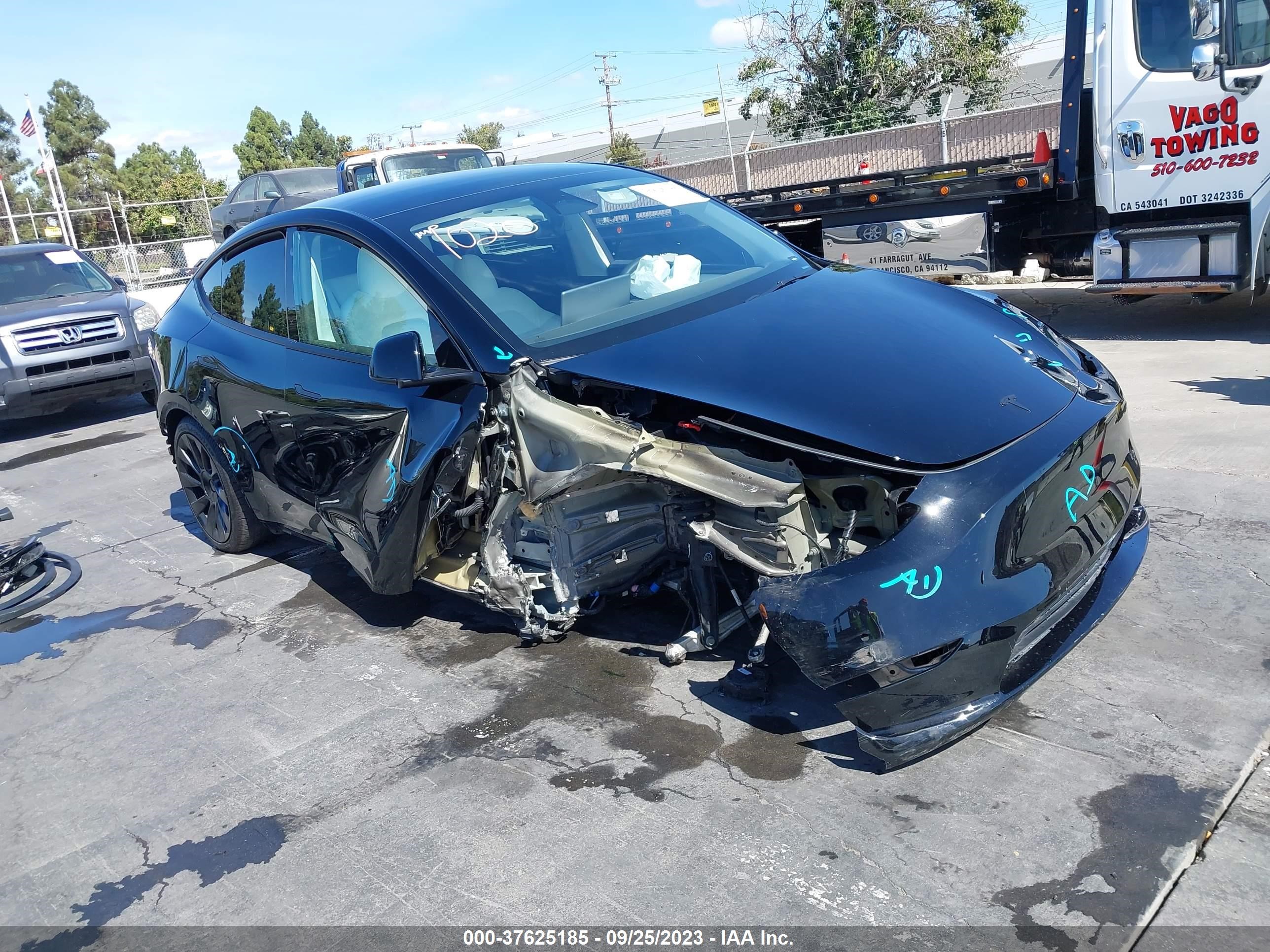 TESLA MODEL Y 2022 7saygaee2nf550868