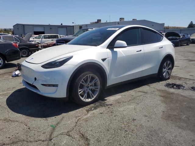 TESLA MODEL Y 2022 7saygaee2nf556296