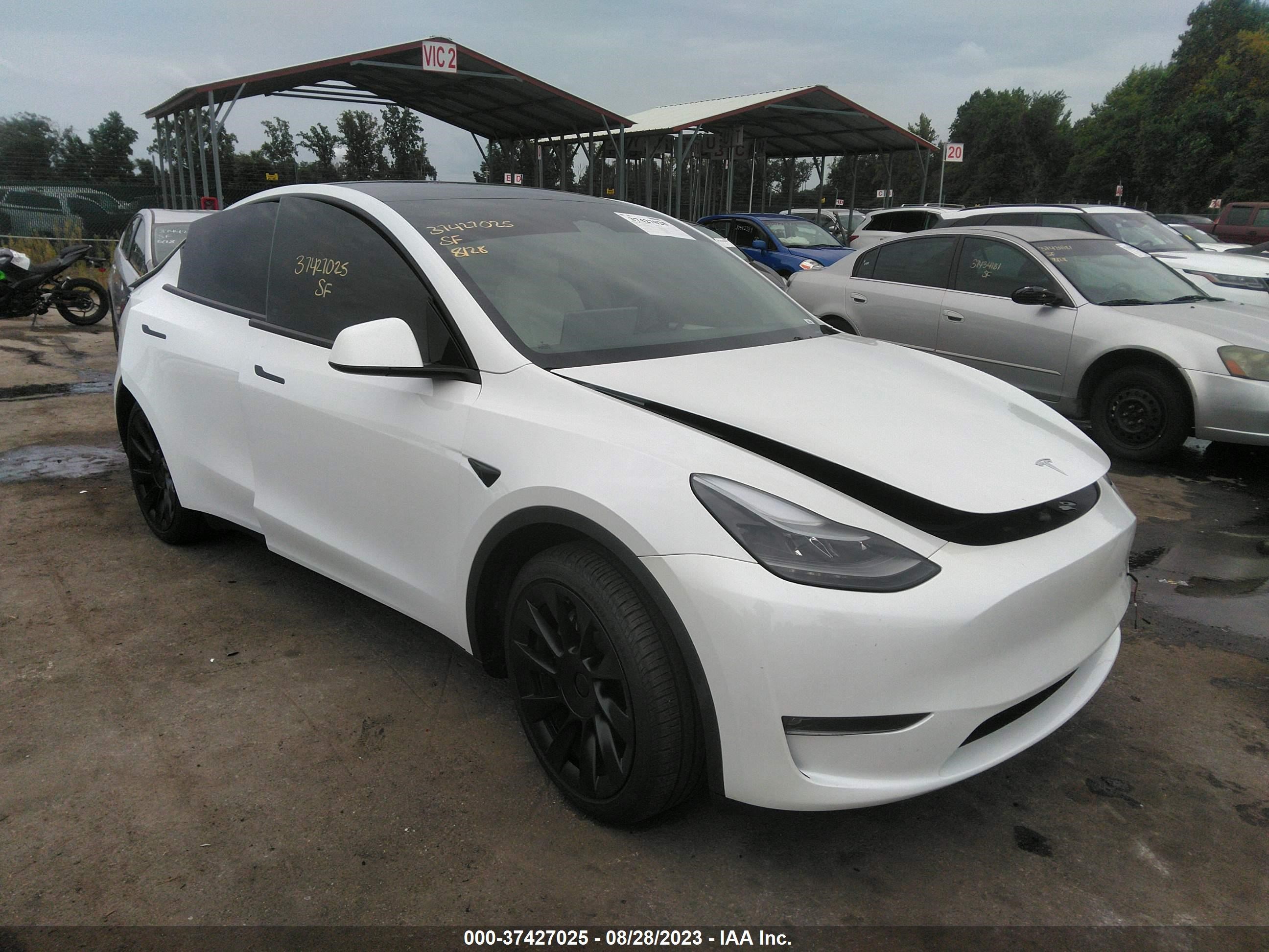 TESLA MODEL Y 2023 7saygaee2pf646874