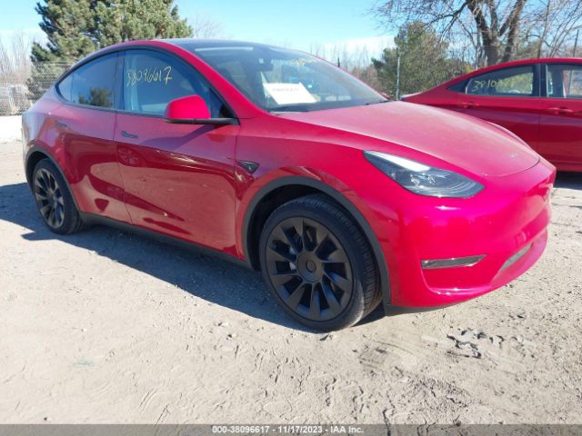 TESLA MODEL Y 2023 7saygaee2pf856553