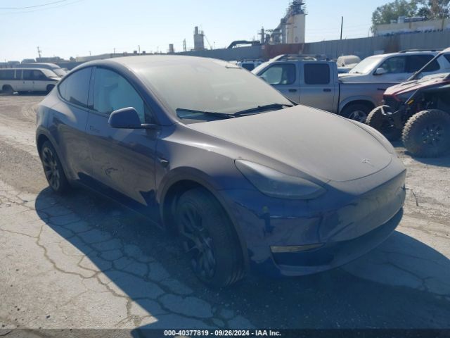 TESLA MODEL Y 2024 7saygaee2rf058234