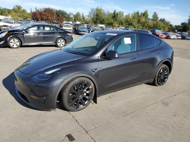 TESLA MODEL Y 2024 7saygaee2rf080993