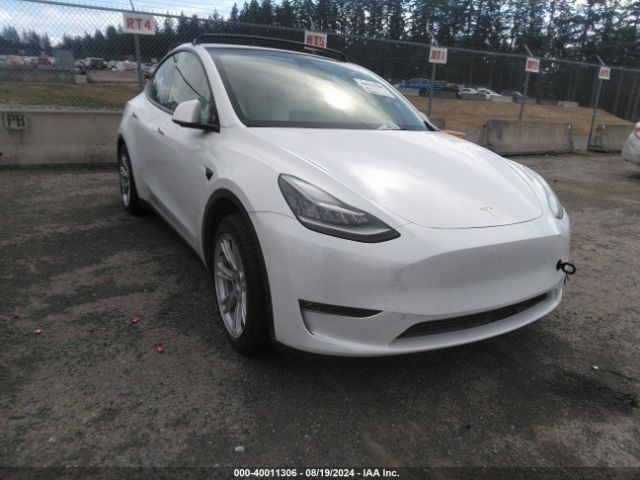 TESLA MODEL Y 2022 7saygaee3nf427032