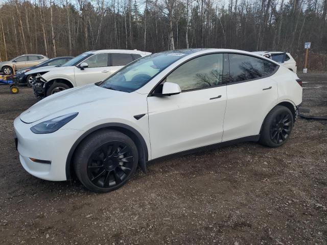 TESLA MODEL Y 2022 7saygaee3nf514817