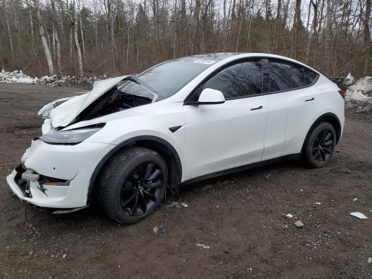 TESLA MODEL Y 2022 7saygaee3nf531830