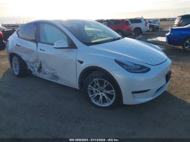 TESLA MODEL Y 2022 7saygaee3nf576735