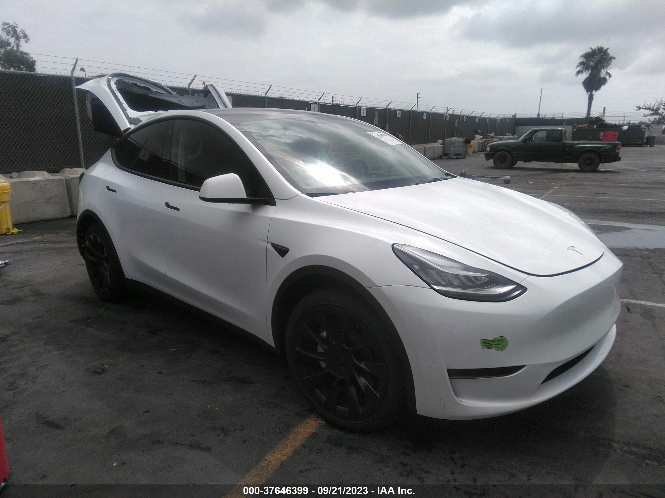 TESLA MODEL Y 2023 7saygaee3pf604147