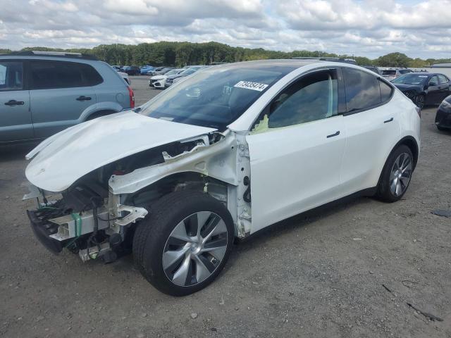 TESLA MODEL Y 2023 7saygaee3pf612040