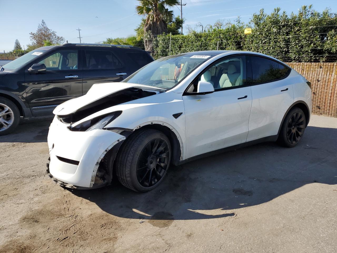 TESLA MODEL Y 2023 7saygaee3pf640534