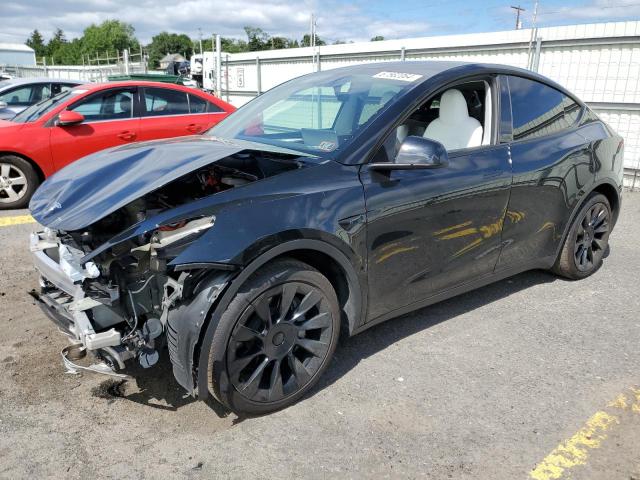 TESLA MODEL Y 2023 7saygaee3pf691533