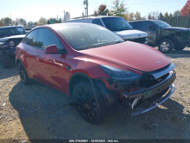 TESLA MODEL Y 2023 7saygaee3pf696764