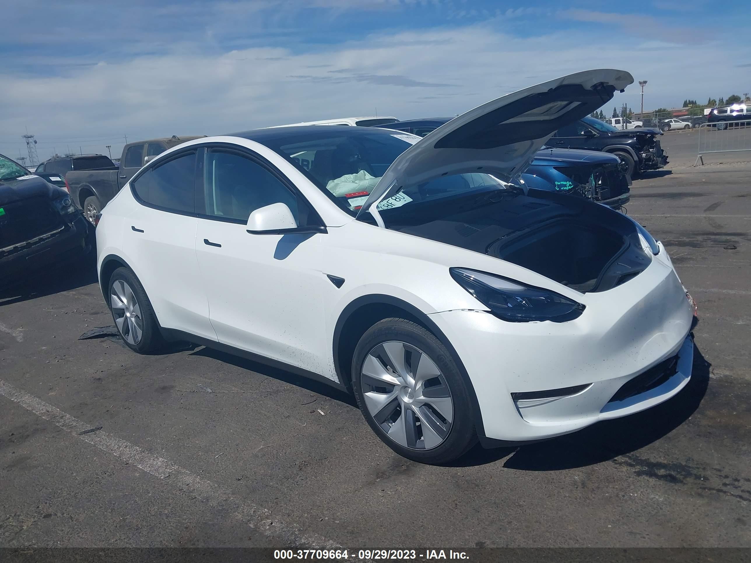 TESLA MODEL Y 2023 7saygaee3pf868100