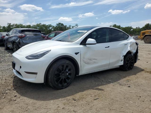 TESLA MODEL Y 2023 7saygaee3pf947248