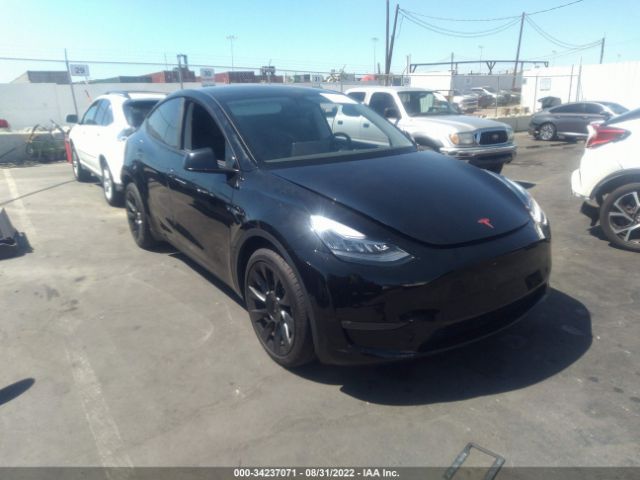 TESLA MODEL Y 2022 7saygaee4nf384563