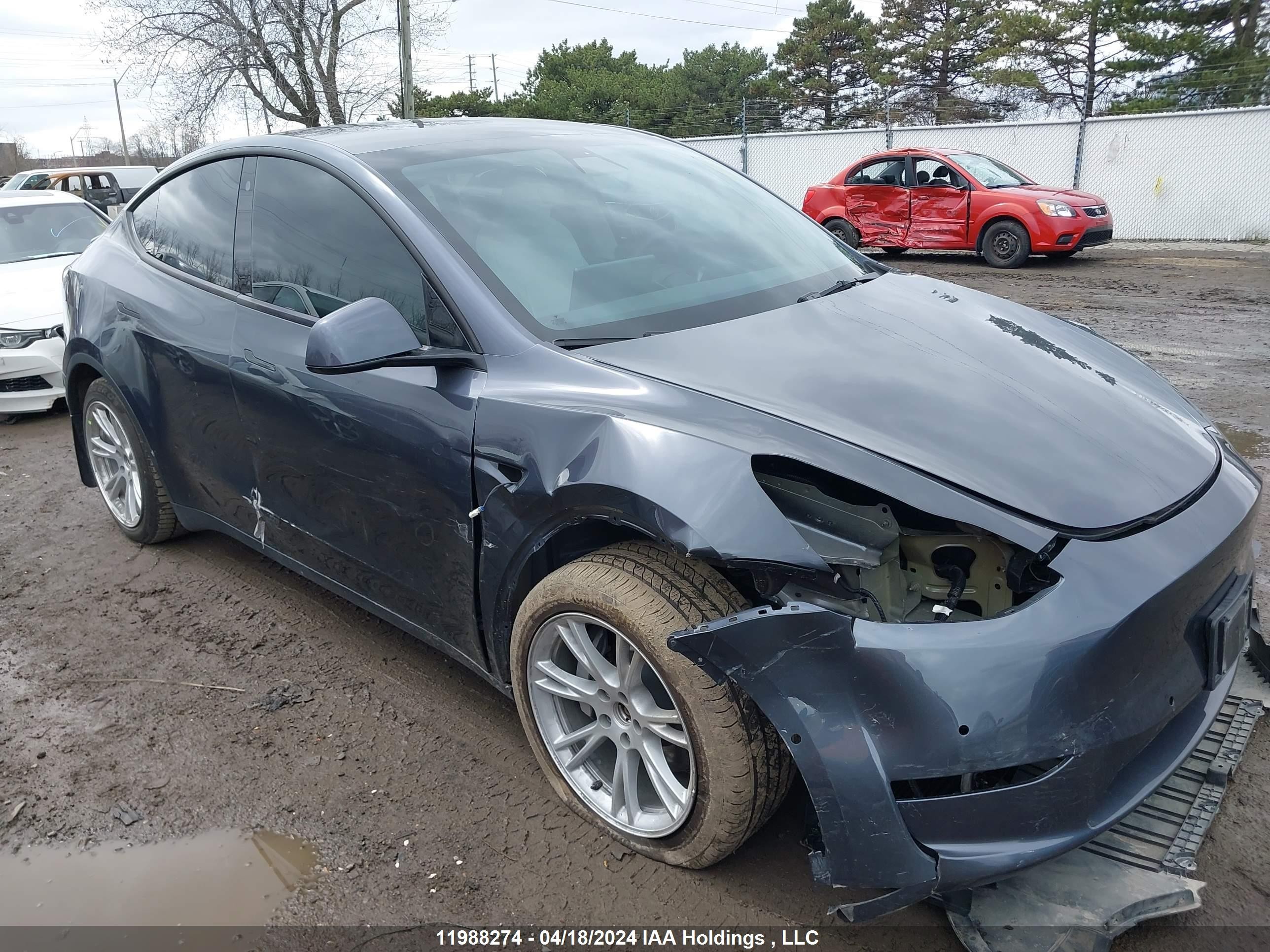 TESLA MODEL Y 2022 7saygaee4nf431719