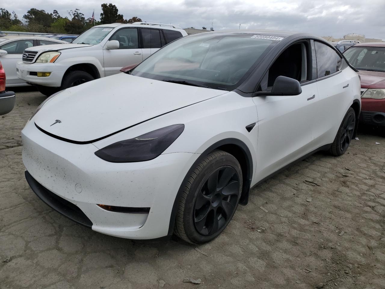 TESLA MODEL Y 2023 7saygaee4pf628733