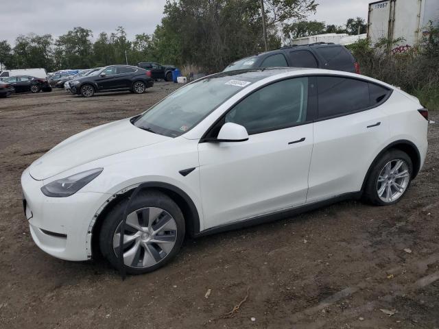 TESLA MODEL Y 2023 7saygaee4pf668679