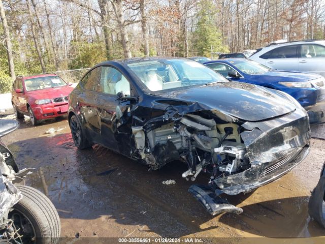 TESLA MODEL Y 2023 7saygaee4pf691735