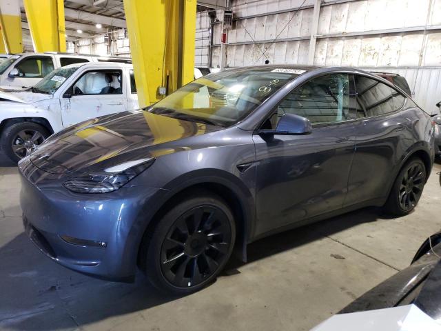 TESLA MODEL Y 2023 7saygaee4pf699656