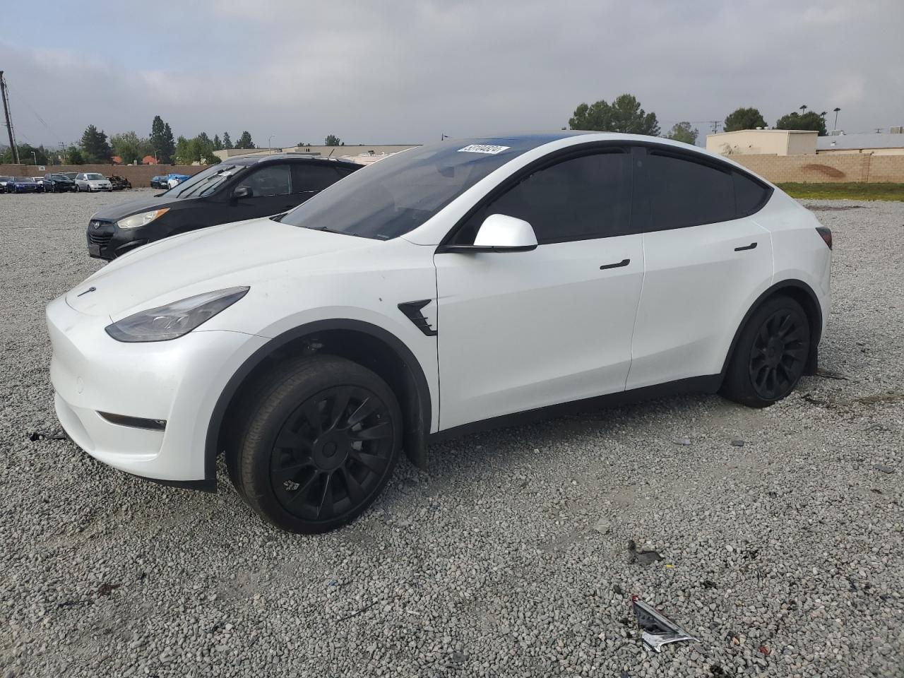 TESLA MODEL Y 2023 7saygaee4pf780379