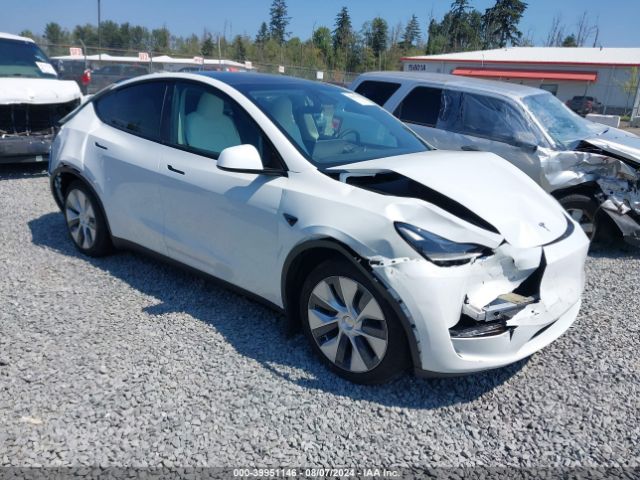 TESLA MODEL Y 2024 7saygaee5rf077456