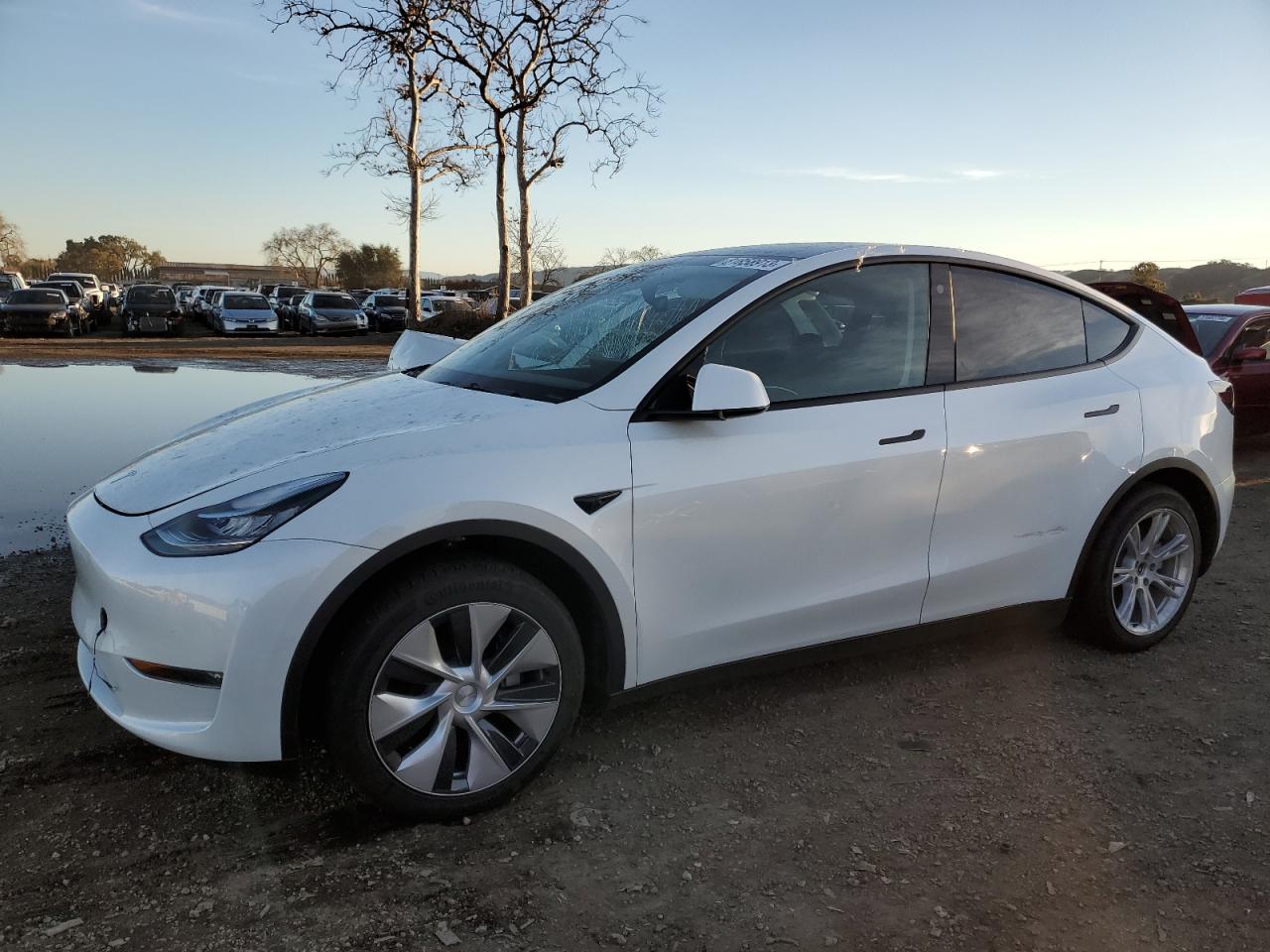 TESLA MODEL Y 2022 7saygaee6nf505965