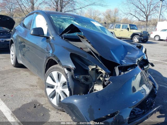 TESLA MODEL Y 2022 7saygaee6nf550338