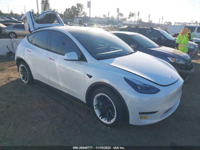 TESLA MODEL Y 2022 7saygaee6nf550744