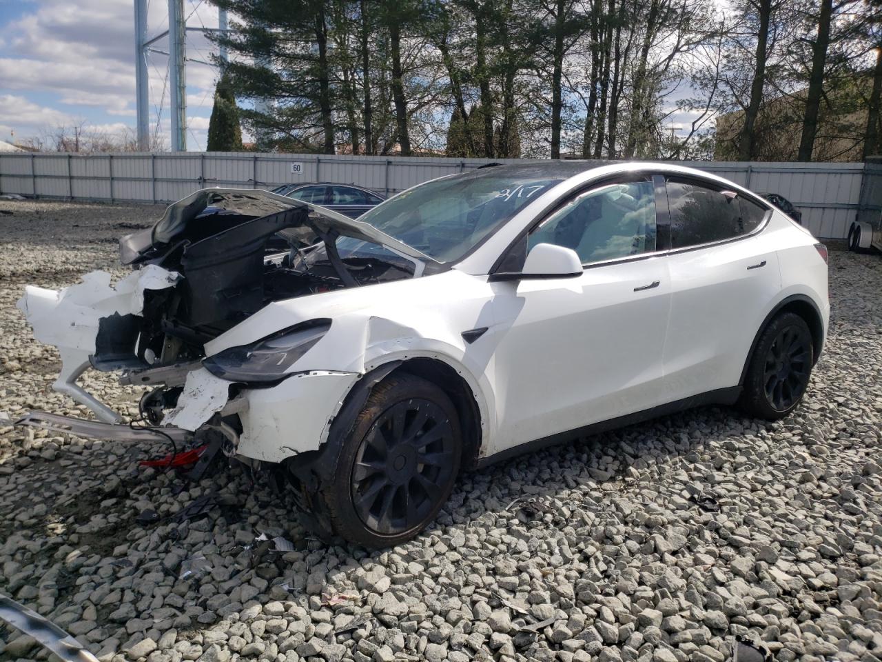 TESLA MODEL Y 2023 7saygaee6pf772185