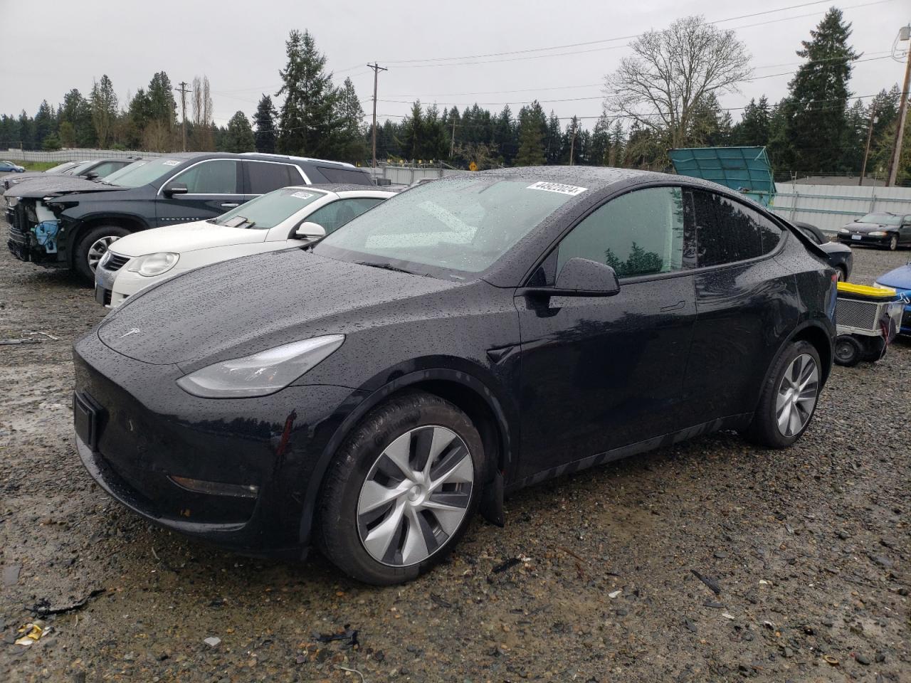 TESLA MODEL Y 2023 7saygaee6pf813995