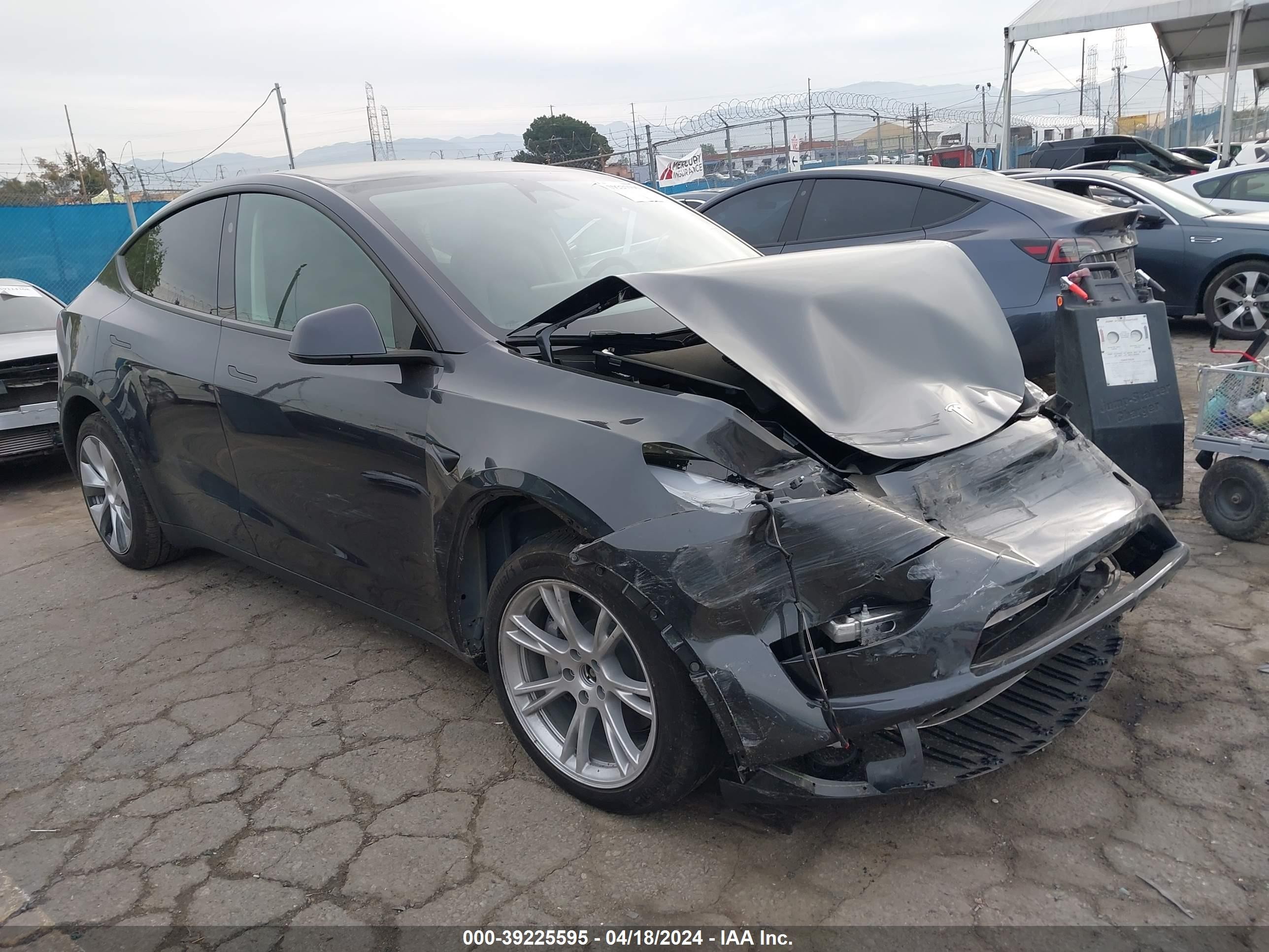 TESLA MODEL Y 2024 7saygaee6rf032655