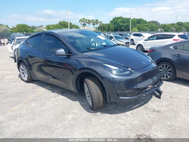 TESLA MODEL Y 2024 7saygaee6rf080365