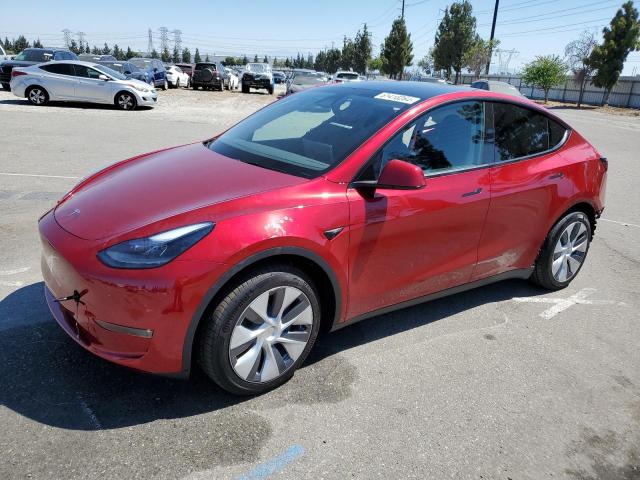 TESLA MODEL Y 2024 7saygaee6rf081290