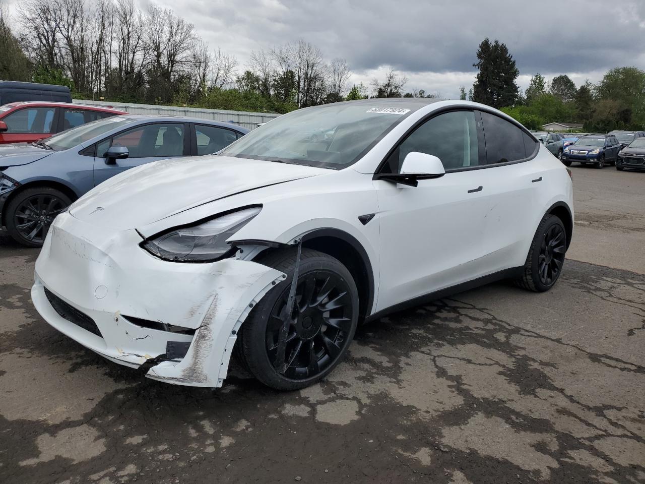 TESLA MODEL Y 2024 7saygaee6rf985642