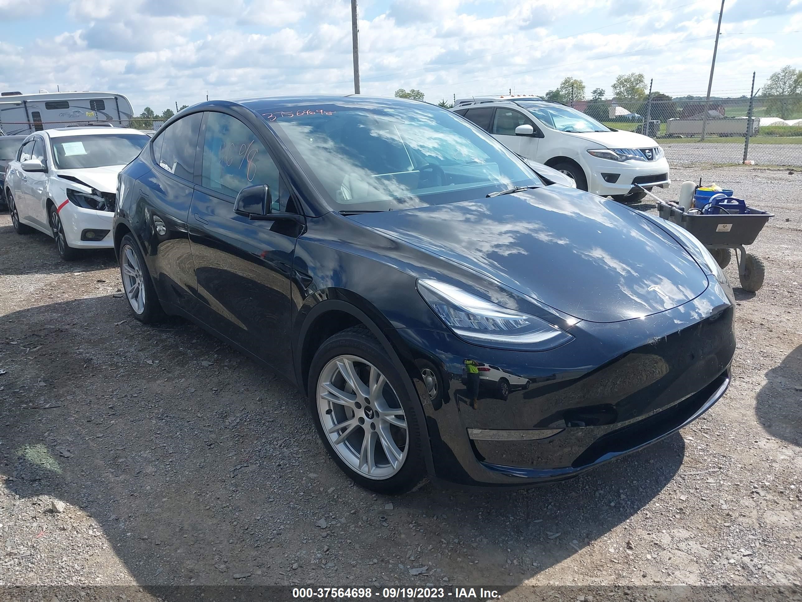 TESLA MODEL Y 2022 7saygaee7nf316161