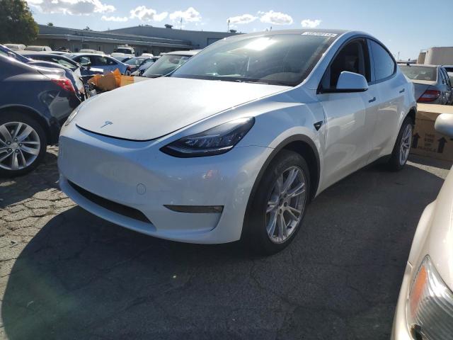 TESLA MODEL Y 2022 7saygaee7nf408628