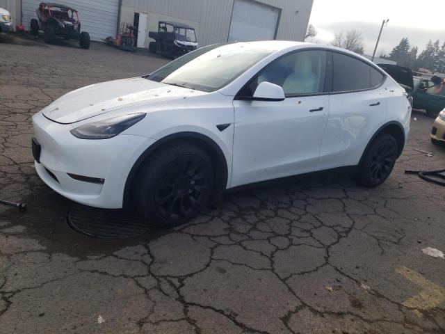 TESLA MODEL Y 2024 7saygaee7rf077443