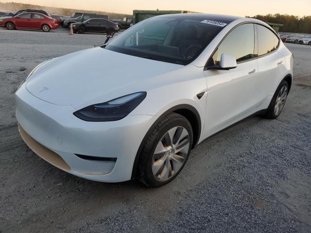 TESLA MODEL Y 2024 7saygaee7rf091388