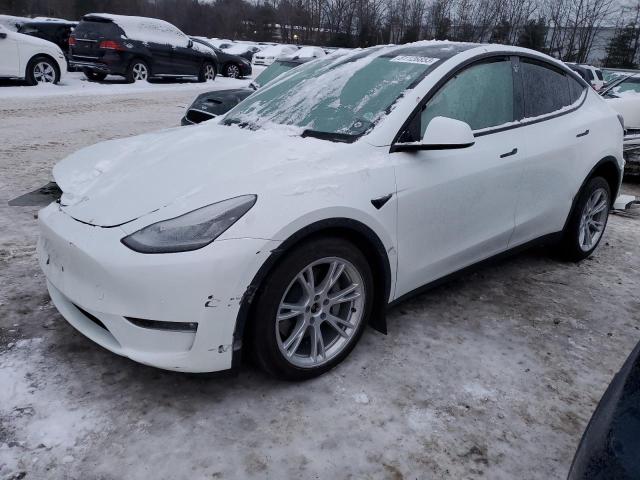 TESLA MODEL Y 2022 7saygaee8nf514568