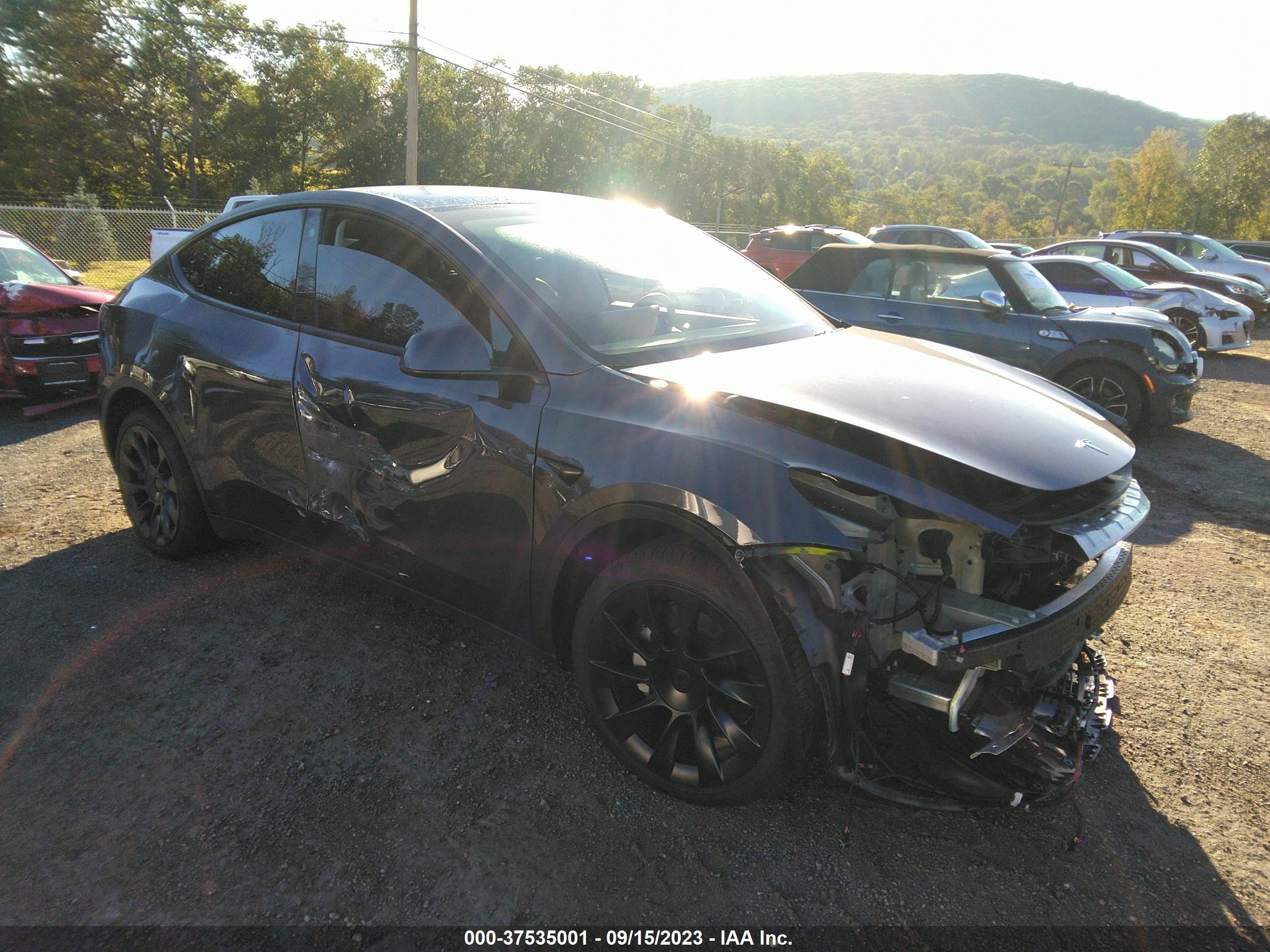 TESLA MODEL Y 2022 7saygaee8nf536408