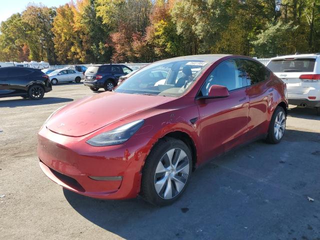 TESLA MODEL Y 2024 7saygaee8rf026436