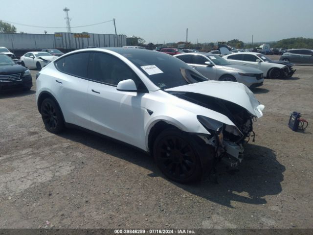 TESLA MODEL Y 2024 7saygaee8rf037176