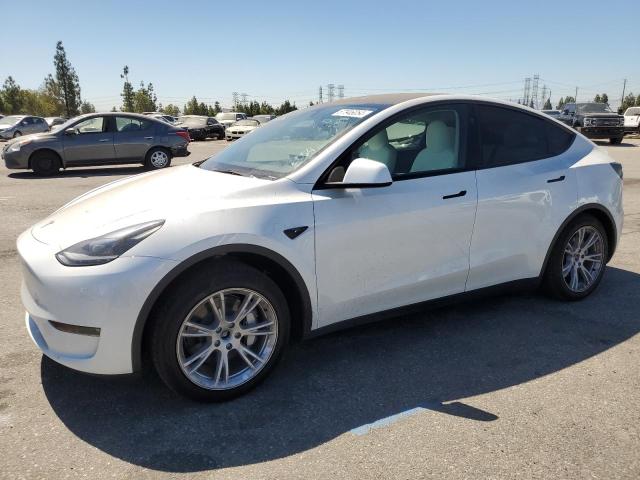 TESLA MODEL Y 2024 7saygaee8rf045181