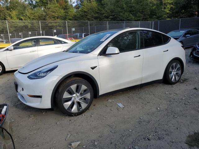 TESLA MODEL Y 2022 7saygaee9nf315321