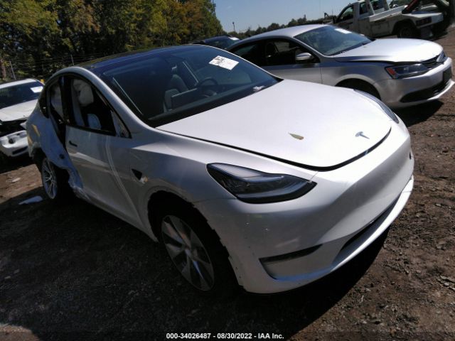 TESLA MODEL Y 2022 7saygaee9nf335861