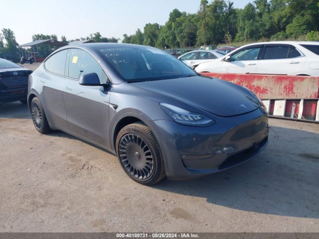 TESLA MODEL Y 2022 7saygaee9nf464702